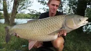 r&eacute;tro p&ecirc;che 2014
