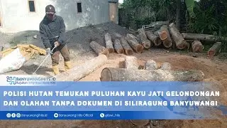 Polisi Hutan Temukan Puluhan Kayu Jati Gelondongan dan Olahan Tanpa Dokumen di Siliragung Banyuwang