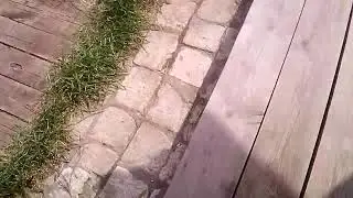 лист покозаивать буду