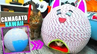 DE GLOBO A CAMAGATO KAWAII