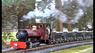 February live steam at Radingspoor