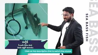 Sea Bass Fish Farming Course Trailer in Telugu | ffreedom app