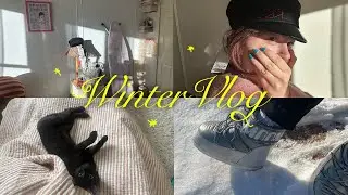 snowed in vlog ❆ oversharing, favorite books, dollar tree haul, Q+A