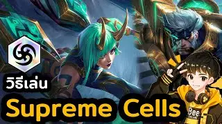 วิธีเล่น Supreme Cells ดาเมจแรงไม่เกรงใจใคร | TFT Set 15 | Golden Spatula