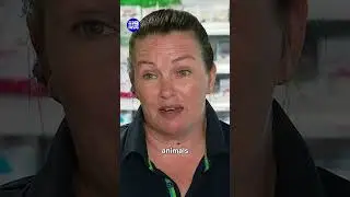 Kittens abandoned in library chute | 9 News Australia