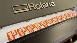 ROLAND TRUEVIS VG3 640 SERIES Print quality!