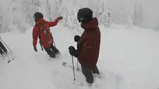 Cat Skiing in Fernie, Canada