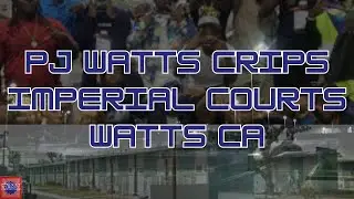 The History Of The Imperial Courts PJ Watts Crips Street Gang In Watts CA