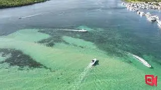 Deep Chill Music 🌴 Relaxing Miami Landscapes | Brickell, Coral Gables, Coconut Grove & Beaches