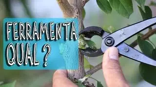 Qual comprar para iniciar? - Ferramentas de Bonsai #1