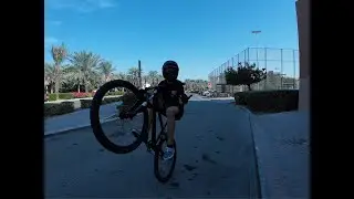 How to wheelie with one hand.