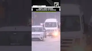 Heavy rain wreaks havoc in Chennai, schools-colleges closed, CM Stalin reviews monsoon preparedness