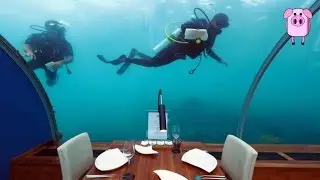 6 Most Expensive Restaurants In The World - SlappedHamTV