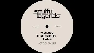 Tom Novy, Twism, Chris Trucher - Not Gonna Let (Original Mix)