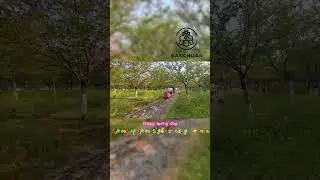 spring track train