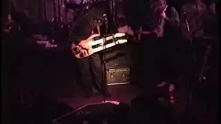 SAM ANDREW + DARBY SLICK et al. - WHITE RABBIT