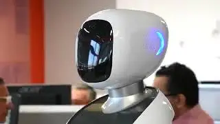 Amy  the Delivery Robot Waitress