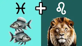 COMPATIBILIDAD LEO y PISCIS: Fuego e Intuici&oacute;n en una Conexi&oacute;n Inesperada