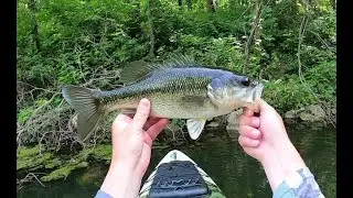 Iowa Spotted Bass! Lake Macbride Kayak Fishing