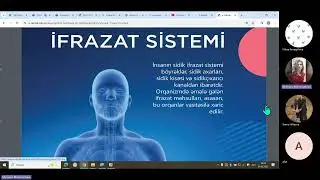 İFRAZAT SİSTEMİ