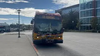 King County Metro & Sound Transit Bus Action @ Burien Transit Center 9/26/25