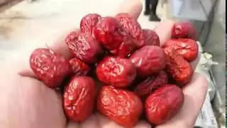 How to clean and wash dates?