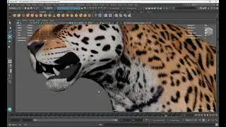 rtx 3060 12gb with Maya XGen