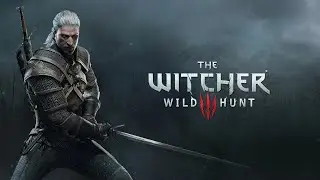 The Witcher 3: Wild Hunt - Now or Never Walkthrough Gameplay 17 - No Commentary