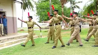 tnps inspection