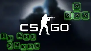 #CSGO - #NePROgamer снова в деле. #stream (19)