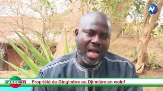 #3 Émission Faggutef   Propriété du Gingimbre ou Djindiére en wolof