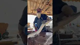 Ultimate Garfish Cutting Skills Mastery! 🫨 Unbelievable Needle Fish Slicing #shorts #fishcutting