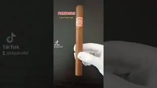 Michael Jordan's favorite cigar. #cigar #cigars #jordan #michaeljordan