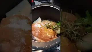Frango desfiado desidratado para acampamento