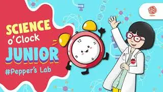 Science o'Clock Junior: Pepper's Lab | Let's Build A Tower!