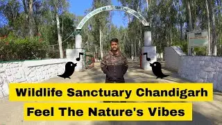 Sukhna wildlife sanctuary | Chandigarh |
