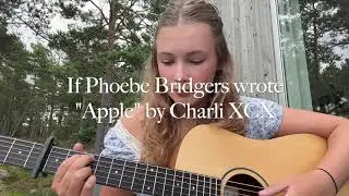 If Phoebe Bridgers wrote 
