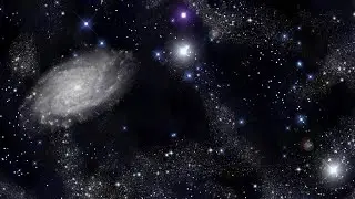 Jas Brooks | Livestream 2: Smell Exploration