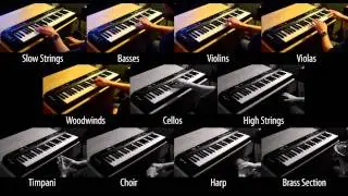 Adam Oakman - Day of Triumph - Film Score - Miroslav Philharmonik