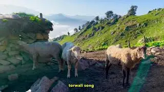 Torwali song, part 2,shareengaly qaleen bathar Mohammed Zahir Shah,  Torwali Geet Kohistani songs ￼