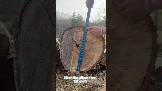 How to use a scale stick to measure the volume of a log in bdft. #business #wood #natural #sawmill