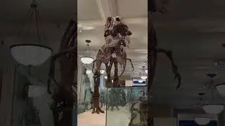 Our T. rex is the Face of Jurassic Park