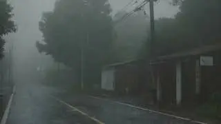 Soothing Rain at Night for Sleep and Focus | Calm Rainfall Ambience to Clear Your Mind