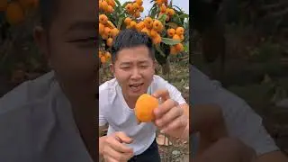 Fruit Orange  #fruit #3500grafts #fruitcutting #4500grafts #graft #orange #food #5000grafts