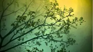 Jacques M&uuml;ller - Changs Selection