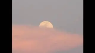 WILLOW / Jaden Smith type beat 'revelations'