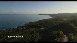 The Reef | Terra Home | Apartamentos en Las Terrenas
