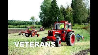 Volvo BM T800C with friends at a veteran meet