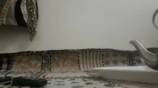 قصه شيوخ القبائل كل واحد في ديرا