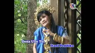 Lagu Bugis Ana Riabbeang By Lely Sagita